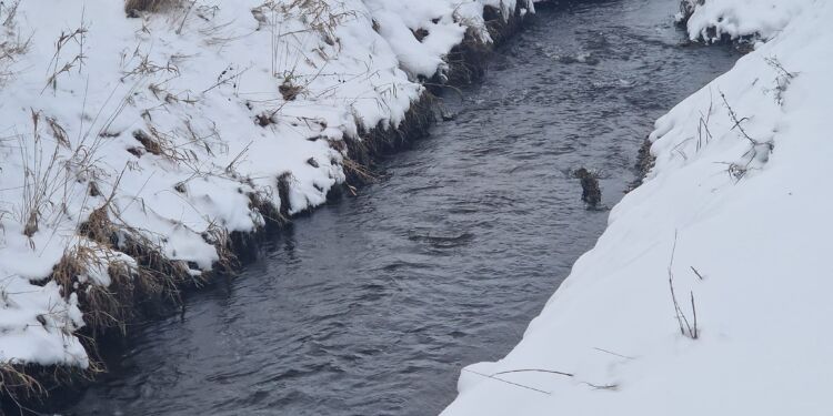 Gydepladser i Stenvad Å. Foto: Michael Ejstrup.
