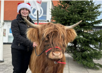 Foto: Signe Gru.