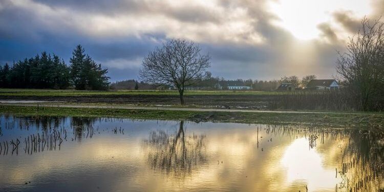 Foto (arkiv): Jens Kranen.