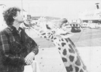 Giraffen leverer et farvelkys til dyrepasser Tronn Gundersen. Foto: Axel Søgaard.