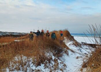 Foto (arkiv): Birthe Nesgaard Johansen.