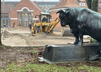 Tyren har set det meste, og hvis tyren kunne tale... Foto: Palle W. Nielsen