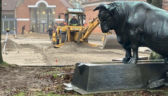 Tyren har set det meste, og hvis tyren kunne tale... Foto: Palle W. Nielsen