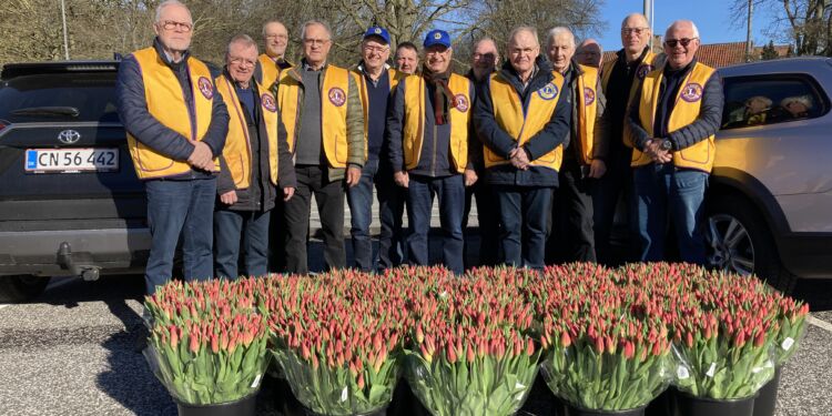 Tulipansalget forår 2023 fik stor lokal støtte. Foto: Lions Club Hjørring Vendia.