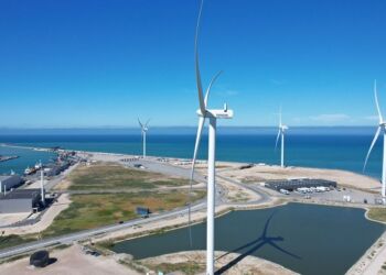 Foto: Hirtshals Havn.