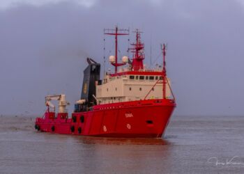 Sima ud for Hirtshals Havn. Foto: Jens Kranen.
