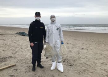 Annsatte fra Beredskabsstyrelsen på Husmoderstranden. Foto: Herdis Thomsen.