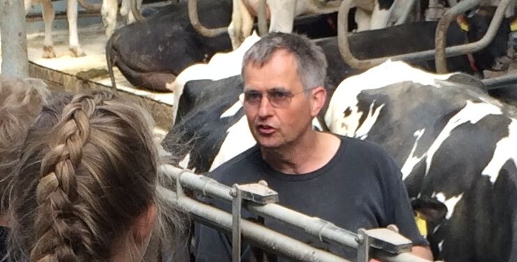 Karsten Weinkouff blandt kreaturerne, mens han var bonde på Stabækvej. Foto (arkiv): Niels Skipper.