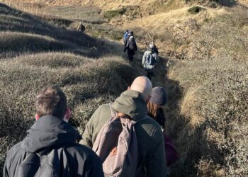 Foto: The Sky is Blue.