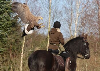 Foto: Ørnereservatet.