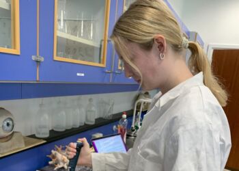 Eleverne i 3.g på Hjørring Gymnasium skriver for øjeblikket studieretningsprojekt. Olivia Høyer Samuel fra 3.x skriver om sammenhængen mellem livsstil og kræft. Foto: STX.