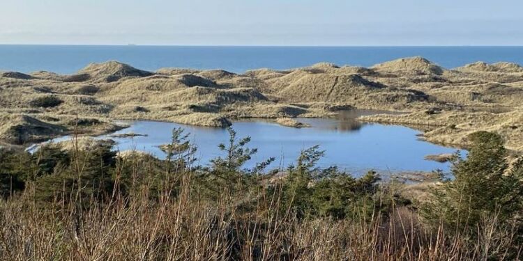 Vintersøen vest for Tornby Klitplantage. Foto (arkiv): Jonna Andreassen.
