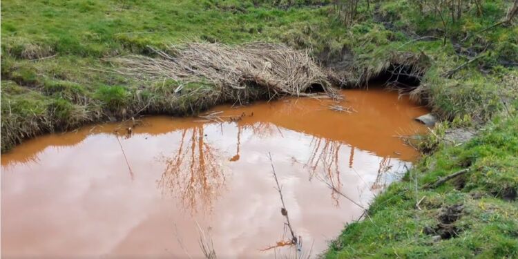 Okkerforurening i Vangen Bæk. Foto: TNVP.
