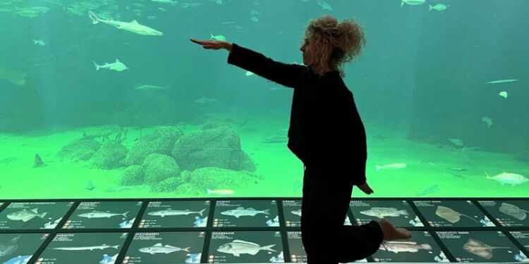 Anita Frederiksen i balance foran det store akvarium på Nordsøen Oceanarium. Foto: Hanne Skipper.