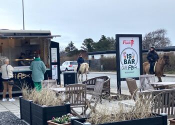 Heste og ryttere modstod alle fristelser fra Café Fisk Isbar. Foto: Palle W. Nielsen