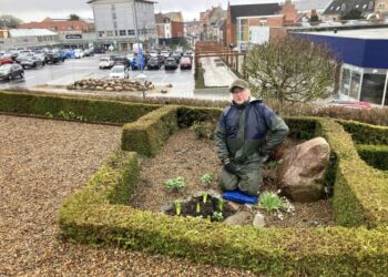 Graver Henrik Kragh på arbejde på Sct. Olai Kirkegård midt i Hjørring. Foto: Palle W. Nielsen