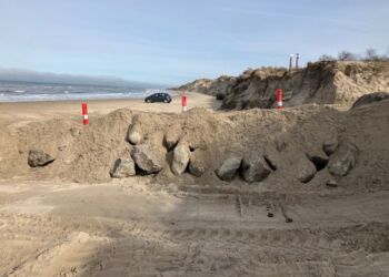 Store sten kan - måske - beskytte og holde på sandet ved Tversted Strand Foto: Palle W. Nielsen