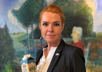Danmarksdemokraternes stifter og leder Inger Støjberg.