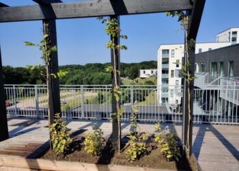 Downtown Apartments er placeret i et skønt naturområde - midt i Hjørring og tæt på det hele. Privatfoto