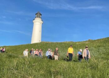 Nedstigning ad skrænten ved Hirtshals Fyr. Foto: Lars Hansen.