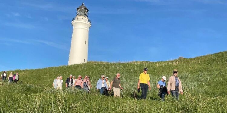 Nedstigning ad skrænten ved Hirtshals Fyr. Foto: Lars Hansen.