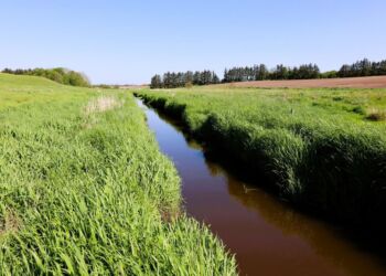 Rakkeby Å. Foto: Hjørring Kommune.