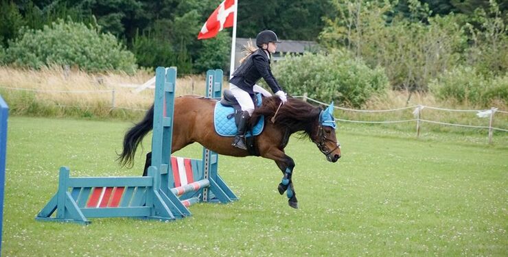 Foto (arkiv): Hirtshals Rideklub.