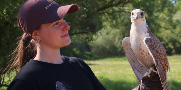 Emilie med sakerfalk i Ørnereservatet.
Foto: Marie Louise.