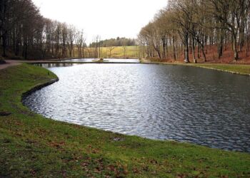 Sct. Knuds Kilde er en folkepark beliggende i bydelen Sct. Knuds By i Hjørring. Foto: Wikipedia.
