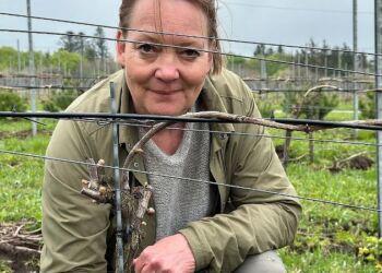 Susanne Mikkelsen er ejer hos Saxtrup Vingård ved Bjrgby. Foto: TV2 Nord.