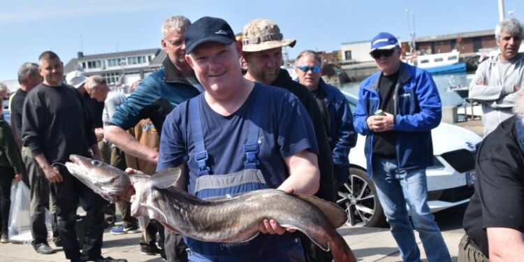 Pæne fangster ved tidligere konkurrence i Hirtshals. Foto: Arkiv.