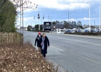 Alice fører an, og Krumme holder sig pænt tilbage - når de går tur. Foto: Palle W. Nielsen
