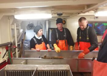 Esther Savina ses her til venstre i gang med forskning hos DTU Aqua.