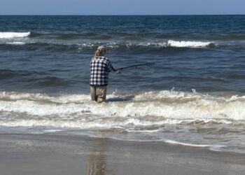 Der var bid ved Tversted. Foto: Palle W. Nielsen.