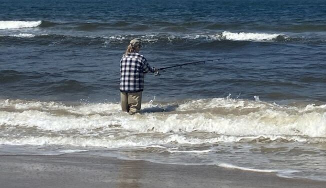 Der var bid ved Tversted. Foto: Palle W. Nielsen.