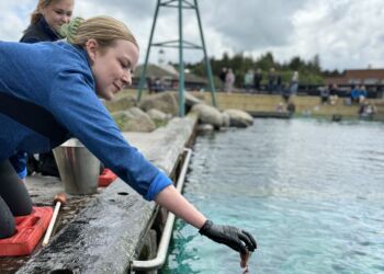 Foto: Nordsøen Oceanarium.
