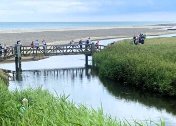 Broen over Liver Å ved Kærsgård Strand. Foto: Anni Stilling.