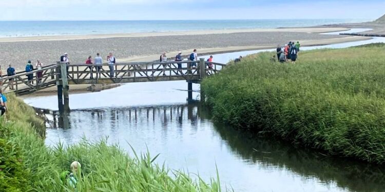 Broen over Liver Å ved Kærsgård Strand. Foto: Anni Stilling.