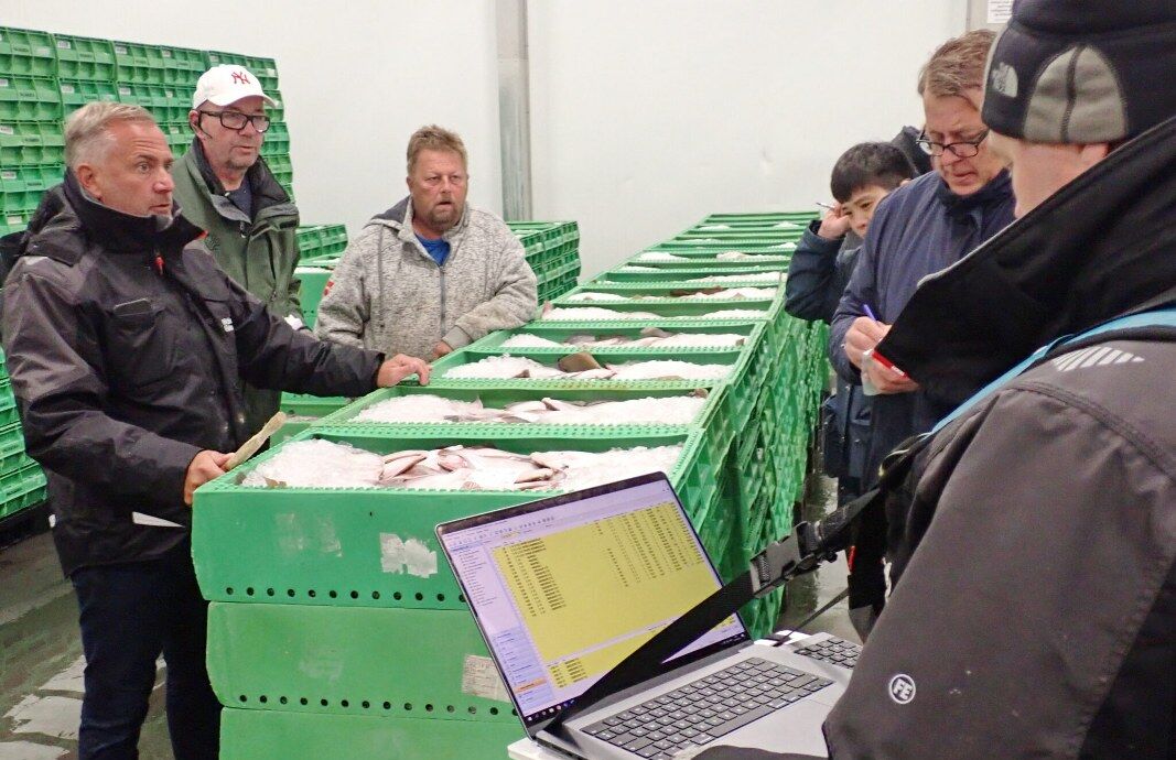 Fiskeauktion Terje Engoe 1067x800 e1723014833465