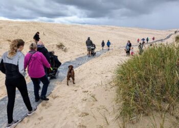 Køreplader er udlagt, så også kørestolsbrugere og gangbesværede kan nå toppen af Råbjerg Mile.