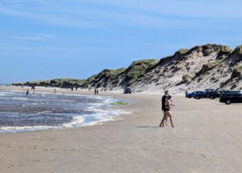 Tversted Strand er ganske bred, og der er god plads både til badegæster og biler.