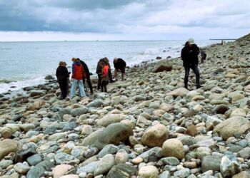 Stentur nedenfor klinten ved Hirtshals Fyr. Foto: Privat.