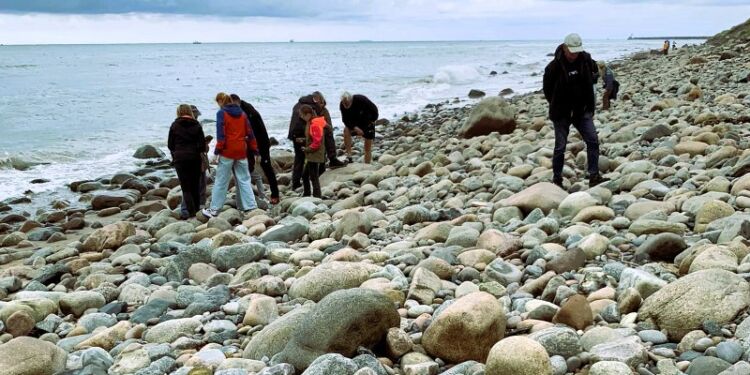 Stentur nedenfor klinten ved Hirtshals Fyr. Foto: Privat.