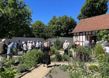 Museumshaven i Hjørring. Foto: VHM.