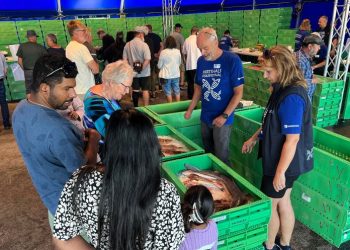 Sylvia Berglund fra Nordsøen Oceanarium og frivillig Poul Ole Nielsen fortæller om forskellige fisk i teltet Bølgen. Foto (arkiv): Niels Skipper.