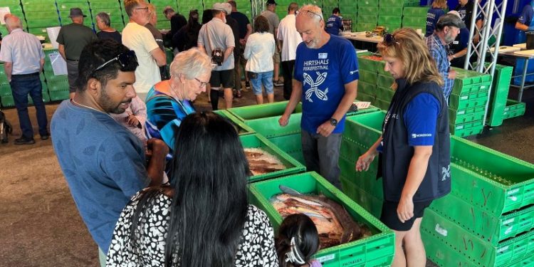 Sylvia Berglund fra Nordsøen Oceanarium og frivillig Poul Ole Nielsen fortæller om forskellige fisk i teltet Bølgen. Foto (arkiv): Niels Skipper.