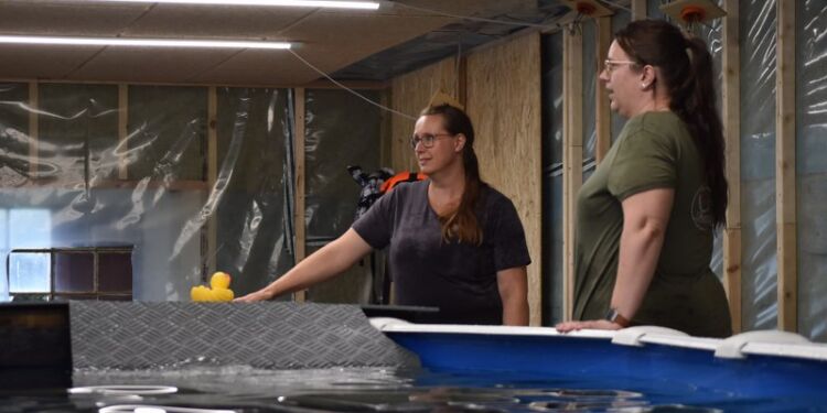 Forrest Bettina Hvidemose indehaver af Center For Dyreterapi. Bagerst Majken Pedersen, fysiurgisk hunde og hesteterapeut hos Center For Dyreterapi. Foto (arkiv): CFD.