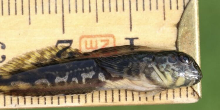 Foto: Søren Johansen.