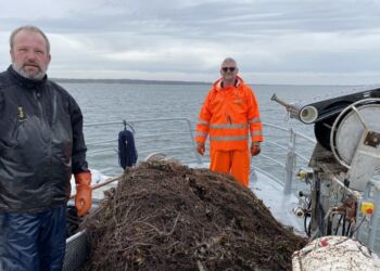 Billedet er taget i april, hvor Fiskerikontrollen opsamlede 1,5 km spøgelsesnet ved Båring Vig på Nordfyn. Foto: Fiskeristyrelsen.