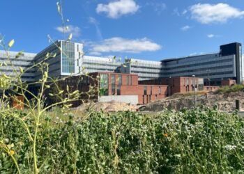 Nyt Aalborg Universitetshospital. Foto: RN.